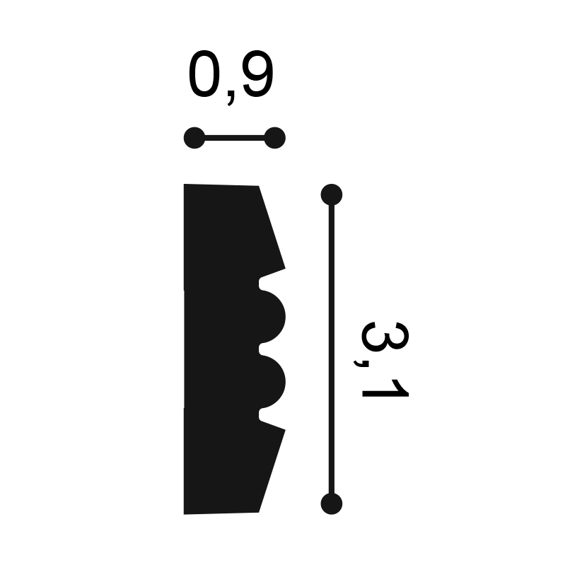 P5021 - profil et mesures (cm)