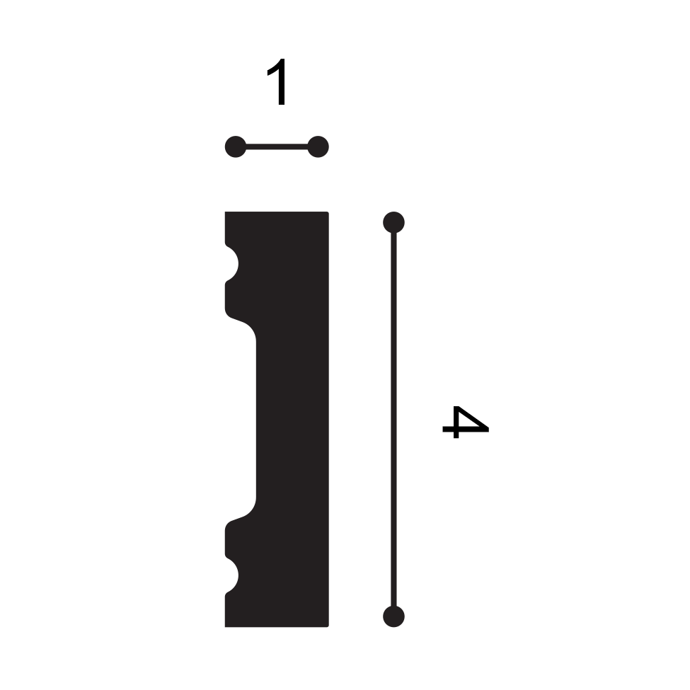 SX162 - profil et mesures (cm)