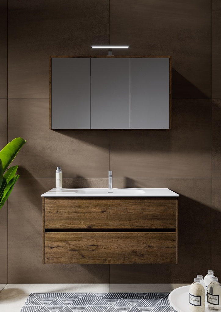 Riho Armoire miroir Porto 80 cm 2 portes chêne vieilli sans électro L80 x H60 x P20 cm